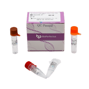 Kit de PCR em Tempo Real para Neisseria gonorrhoeae