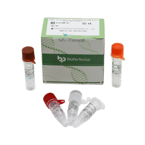 Kit de PCR em Tempo Real para Coronavírus COVID-19 e Vírus da Influenza A/B