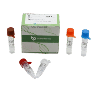 Kit de PCR em Tempo Real para Vírus do Sarampo e Rubéola