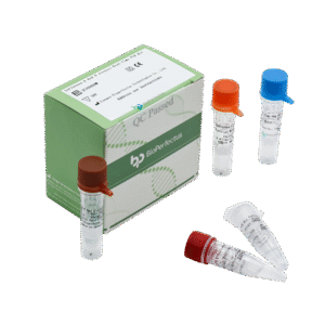 Kit de PCR em Tempo Real para Vírus da Influenza A e B