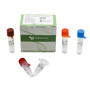 COVID-19 Coronavírus Kit de PCR em Tempo Real