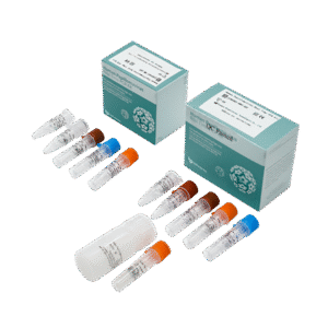 Kit de triagem de HPV por PCR  (distingue subtipo 16, 18 de outros 16 subtipos)