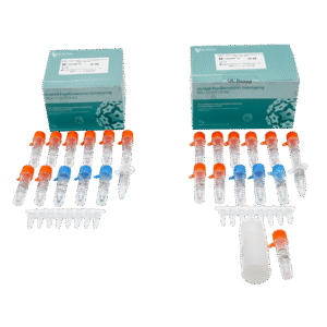 Kit de genotipagem de HPV por PCR (21 subtipos)