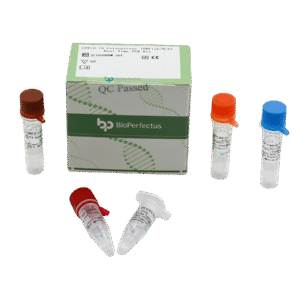 Kit PCR em Tempo Real para Coronavírus COVID-19 (ORF1ab/N/E)