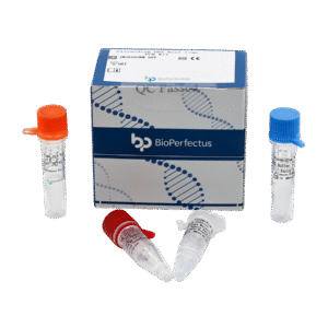 Kit de PCR em Tempo Real para Detecção de DNA de Plasmodium