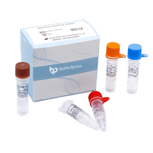 Kit de PCR em Tempo Real para o Vírus Ebola