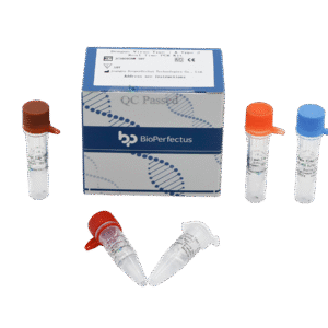 Kit PCR em Tempo Real para Dengue Vírus Tipo 1 & Tipo 2