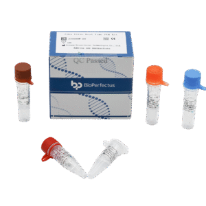 Kit PCR em Tempo Real para Vírus Zika