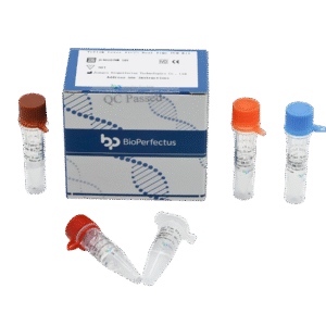 Kit de PCR em Tempo Real para Vírus da Febre Amarela