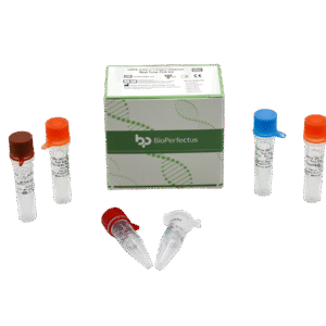 Kit PCR em Tempo Real para Variante Ômicron do SARS-CoV-2