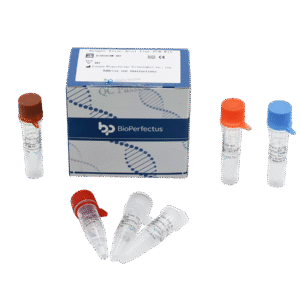 Kit de PCR em Tempo Real para Vírus da Dengue