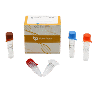Kit PCR em Tempo Real para Coxsackievirus A6 e A10