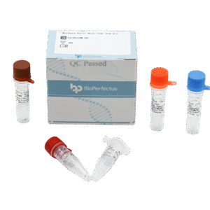 Kit PCR em Tempo Real para o Vírus Marburg