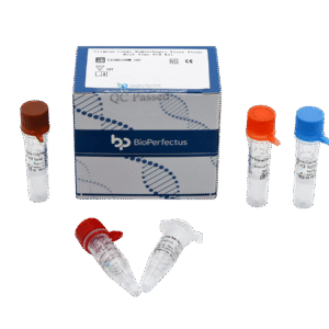 Kit PCR em Tempo Real para Vírus da Febre Hemorrágica da Crimeia-Congo