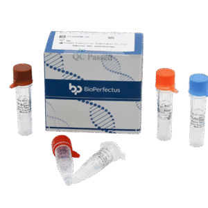 Kit PCR em Tempo Real para Vírus do Nilo Ocidental