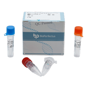 Kit de PCR em Tempo Real para Monkeypox Virus e Orthopoxvirus