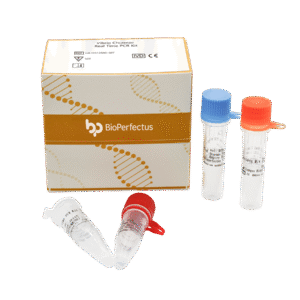 Kit PCR em Tempo Real para Vibrio cholerae