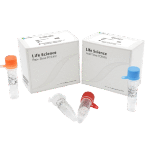 Kit PCR em Tempo Real para Vibrio cholerae (RUO)