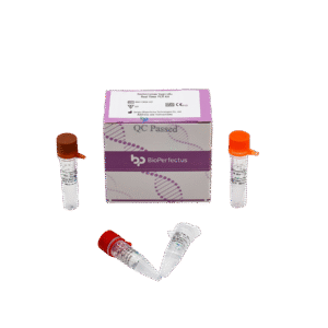 Kit de PCR em Tempo Real para Trichomonas Vaginalis
