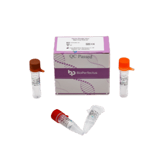 Kit de PCR em Tempo Real para Herpes Simplex Virus