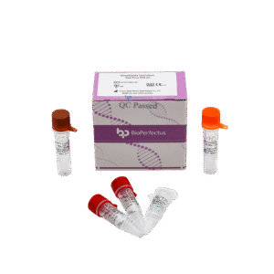 Kit de PCR em Tempo Real para Mycoplasma Genitalium