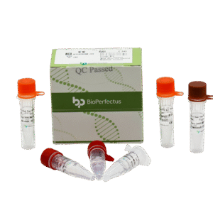 Painel de Bactérias Respiratórias Allfastra (7) Kit de PCR em Tempo Real
