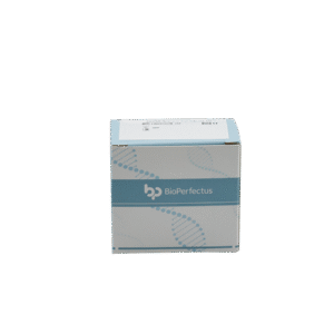 Kit de PCR em Tempo Real para Bacillus anthracis