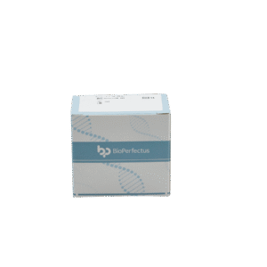 Kit de PCR em Tempo Real para o Vírus Hendra