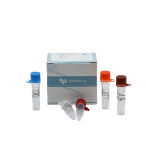 Kit de PCR em Tempo Real para o Vírus da Febre de Lassa