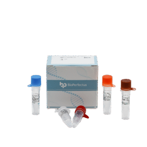 Kit de PCR em Tempo Real para o Vírus da Raiva