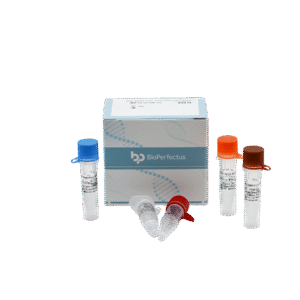 Kit de PCR em Tempo Real para o Vírus da Febre do Vale do Rift