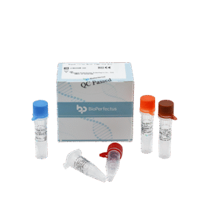 Kit de PCR em Tempo Real para o Vírus Nipah