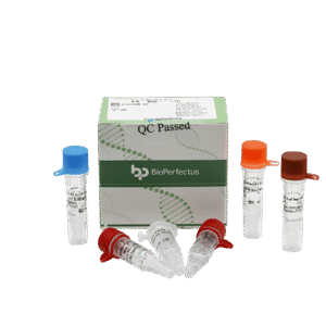 Kit de PCR em Tempo Real para Vírus Influenza A (H1N1 & H3)