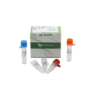 Kit PCR em Tempo Real para Streptococcus pneumoniae
