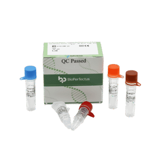 Kit PCR em Tempo Real para Subtipo N6 do Vírus da Influenza