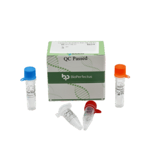 Kit PCR em Tempo Real para Legionella pneumophila