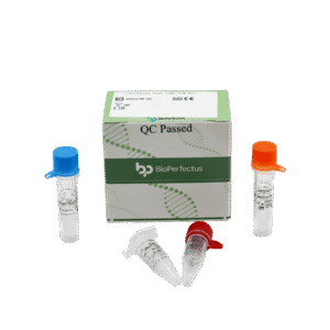 Kit PCR em Tempo Real para Legionella