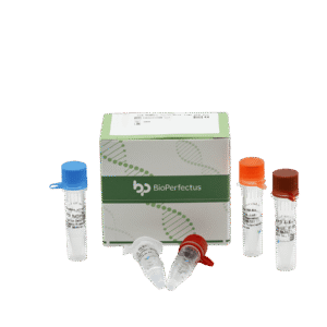 Kit de PCR em Tempo Real para o Vírus Sin Nombre