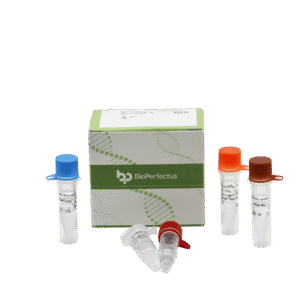 Kit PCR em Tempo Real para Vírus Sincicial Respiratório A/B