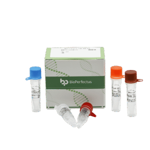 Kit MERS-CoV PCR em Tempo Real