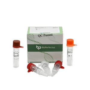 Kit PCR em Tempo Real para Mycoplasma Pneumoniae