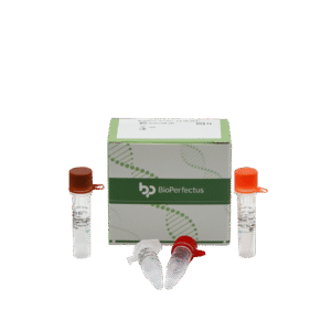 Kit PCR em Tempo Real para Mycobacterium Tuberculosis