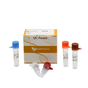 Kit PCR em Tempo Real para Astrovírus