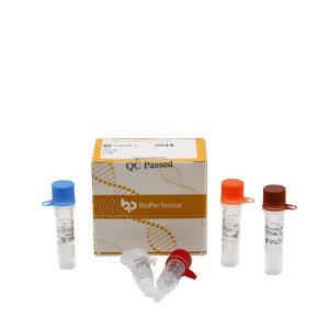 Kit PCR em Tempo Real para Sapovírus