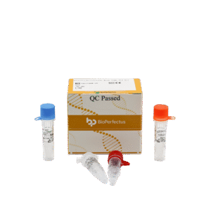 Kit PCR em Tempo Real para Shigella dysenteriae