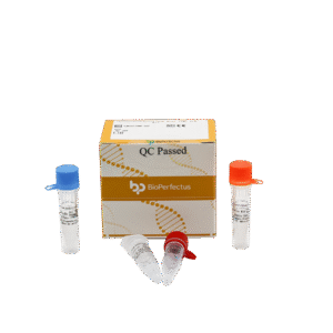 Kit PCR em Tempo Real para Clostridium botulinum