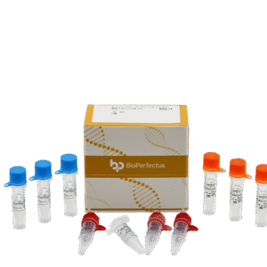 Kit PCR em Tempo Real para Tipificação de E. coli (5)