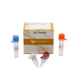 Kit PCR em Tempo Real para Clostridioides difficile