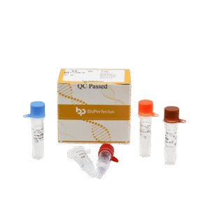 Kit PCR em Tempo Real para Enterovírus