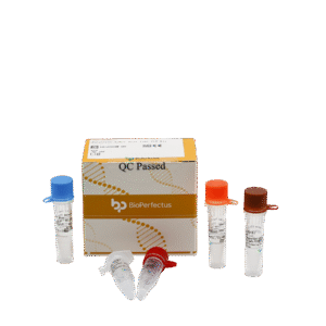 Kit PCR em Tempo Real para Rotavírus A/B/C